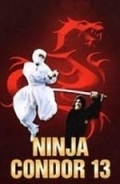 Ниндзя-кондор 13 (1987) смотреть онлайн