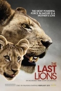 Последние львы (2011) смотреть онлайн