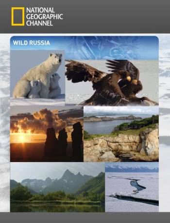Дикая природа России 2008 смотреть онлайн